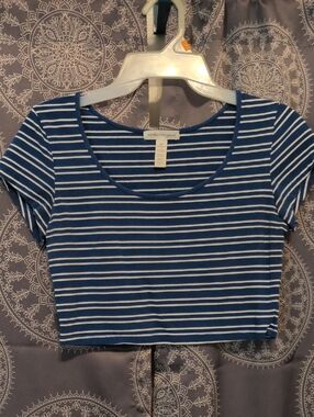 Ambiance Blue and White Striped Scoop Crop Top